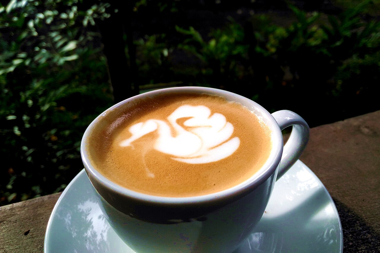 Latte with a swan pattern in white milk foam